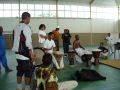 galo entredeux 19.jpg